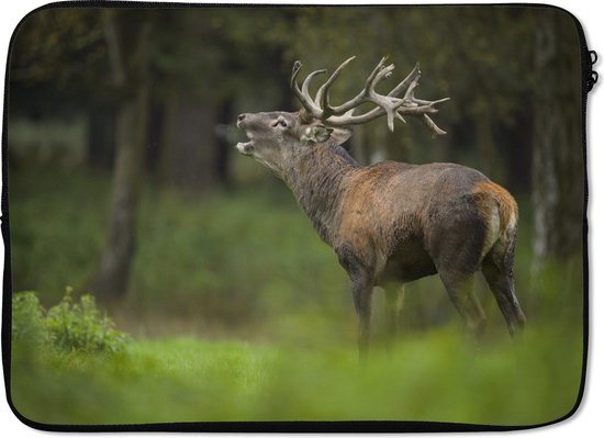 Housse ordinateur 13 pouces 34x24 cm - Forest life - Housse Macbook & Laptop Burlend cerf - Housse ordinateur portable avec photo
