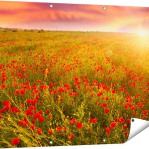 Gards Affiche de jardin Champ de coquelicots rouges – Coucher de soleil – 120×90 cm – Toile jardin – Décoration de jardin – Décoration murale extérieur – Tableau jardin Gards Affiche de jardin Champ de coquelicots rouges – Coucher de soleil – 120×90 cm – Toile jardin – Décoration de jardin – Décoration murale extérieur – Tableau jardin