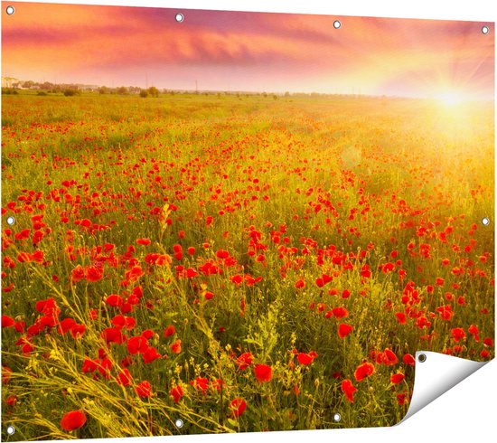 Gards Affiche de jardin Champ de coquelicots rouges - Coucher de soleil - 120x90 cm - Toile jardin - Décoration de jardin - Décoration murale extérieur - Tableau jardin