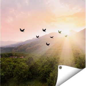 Gards Affiche de jardin Silhouette Volée Vogels au Coucher du soleil – 60×60 cm – Toile jardin – Décoration de jardin – Décoration murale extérieur – Tableau jardin Gards Affiche de jardin Silhouette Volée Vogels au Coucher du soleil – 60×60 cm – Toile jardin – Décoration de jardin – Décoration murale extérieur – Tableau jardin