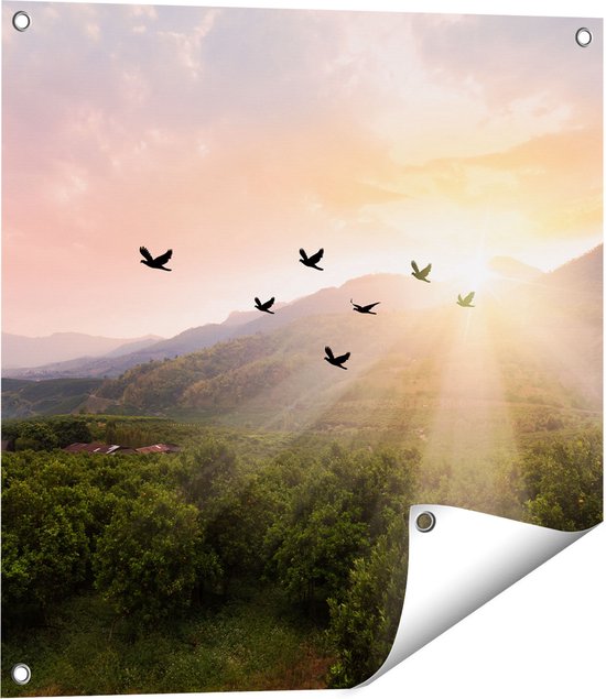 Gards Affiche de jardin Silhouette Volée Vogels au Coucher du soleil - 60x60 cm - Toile jardin - Décoration de jardin - Décoration murale extérieur - Tableau jardin