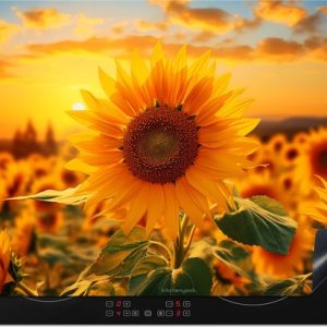 KitchenYeah® Protection plaque induction 71×52.5 cm – Tournesol – Jaune – Fleurs – Protege plaque de cuisson – Couvre plaque induction – Protecteur d’induction – Cuisine KitchenYeah® Protection plaque induction 71×52.5 cm – Tournesol – Jaune – Fleurs – Protege plaque de cuisson – Couvre plaque induction – Protecteur d’induction – Cuisine
