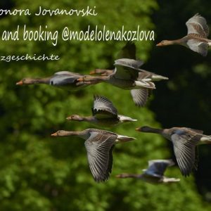 Info and booking @modelolenakozlovaEbook Info and booking @modelolenakozlovaEbook