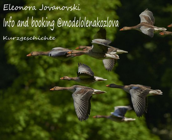 Info and booking @modelolenakozlovaEbook