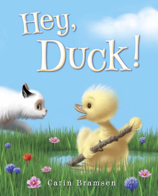 Hey, Duck!Ebook