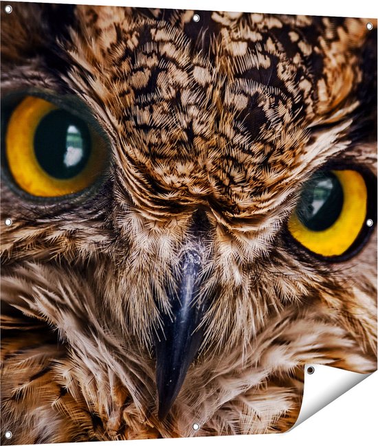 Gards Poster de jardin Tête de hibou aux yeux jaunes - Chouette - 100x100 cm - Toile de jardin - Décoration de jardin - Décoration murale extérieure - Peinture de jardin
