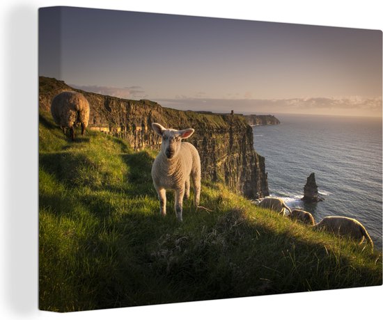 Mouton sur les falaises de Moher toile 2cm 30x20 cm - petit - Tirage photo sur toile (Décoration murale salon / chambre)