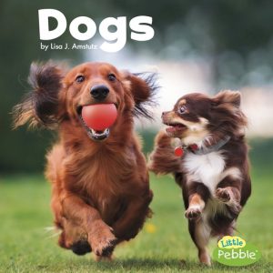 Our Pets – DogsEbook
