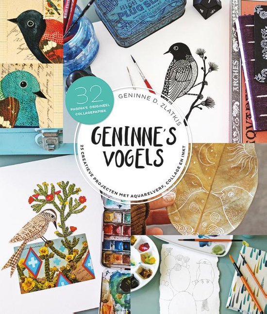 Gennine's Vogels 25 creatieve projecten met aquarelverf, collage en inkt