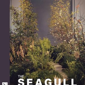 NHB Modern Plays-The Seagull