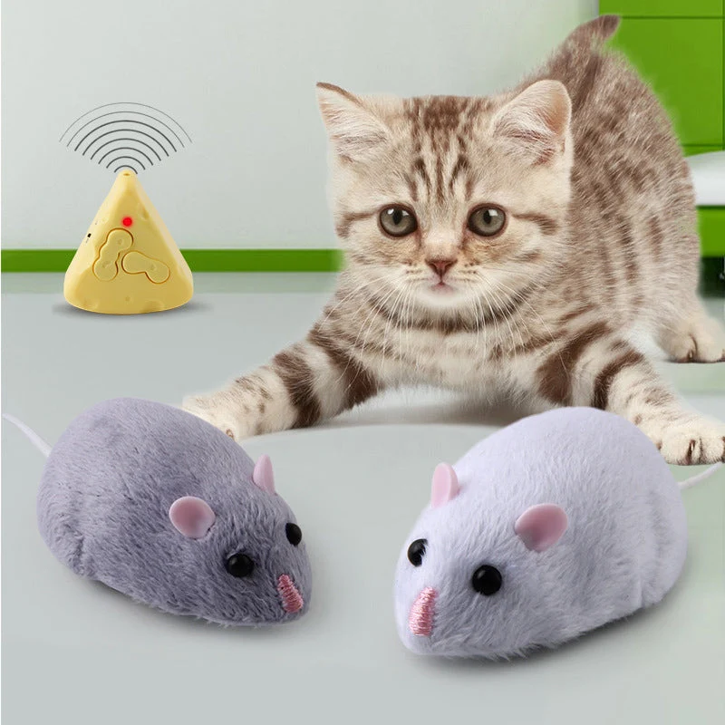 Télécommande Souris Souris Télécommande Souris Souris