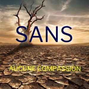 Les Enquêtes d’Amber Young 4 – Sans aucune compassion (Les Enquêtes d’Amber Young — tome 4)Ebook Les Enquêtes d’Amber Young 4 – Sans aucune compassion (Les Enquêtes d’Amber Young — tome 4)Ebook