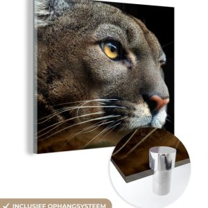 MuchoWow® Peinture sur verre 50×50 cm – Peinture sur verre acrylique – Puma – Animaux sauvages – Portrait – Photo sur verre – Peintures