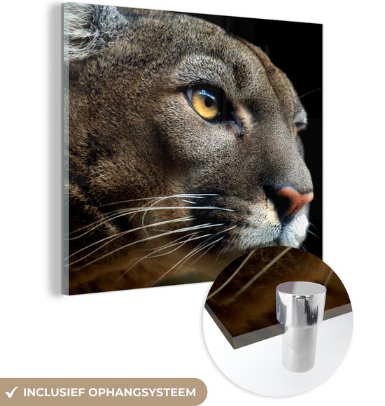 MuchoWow® Peinture sur verre 50x50 cm - Peinture sur verre acrylique - Puma - Animaux sauvages - Portrait - Photo sur verre - Peintures