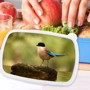 Lunch Box Blauw – Lunch Box – Lunch Box – Pie – Vogel – Mousse – 18x12x6 cm – Enfants – Garçon