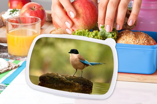 Lunch Box Blauw - Lunch Box - Lunch Box - Pie - Vogel - Mousse - 18x12x6 cm - Enfants - Garçon