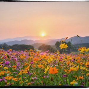 Housse ordinateur 13 pouces – Fleurs – Coucher de soleil – Berg – Housse ordinateur
