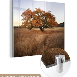 MuchoWow® Peinture sur Verre – Pommier – Automne – Prairie – 90×90 cm – Peintures sur Verre Acrylique – Photo sur Glas MuchoWow® Peinture sur Verre – Pommier – Automne – Prairie – 90×90 cm – Peintures sur Verre Acrylique – Photo sur Glas