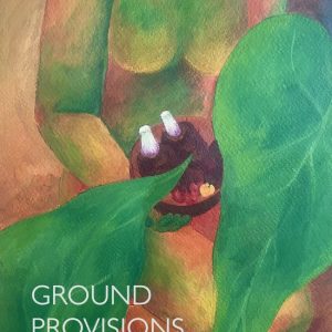 Ground Provisions Ground Provisions