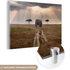 MuchoWow® Peinture sur verre 60×40 cm – Peinture sur verre acrylique – Éléphant – Animaux – Prairies – Soleil – Photo sur verre – Peintures