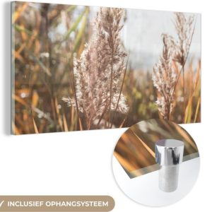 MuchoWow® Peinture sur verre 120×60 cm – Peinture acrylique sur verre – Roseau – Soleil – Plante – Photo sur verre – Peintures