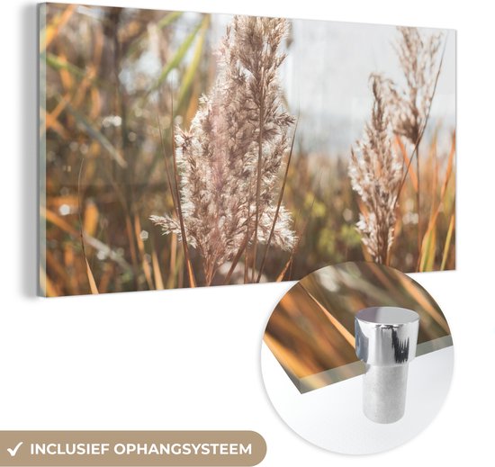 MuchoWow® Peinture sur verre 120x60 cm - Peinture acrylique sur verre - Roseau - Soleil - Plante - Photo sur verre - Peintures