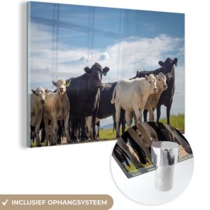 MuchoWow® Peinture sur verre 30×20 cm – Peinture sur verre acrylique – Animaux – Vache – Ciel – Photo sur verre – Peintures MuchoWow® Peinture sur verre 30×20 cm – Peinture sur verre acrylique – Animaux – Vache – Ciel – Photo sur verre – Peintures