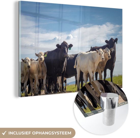 MuchoWow® Peinture sur verre 30x20 cm - Peinture sur verre acrylique - Animaux - Vache - Ciel - Photo sur verre - Peintures