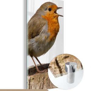 MuchoWow® Peinture sur verre 60×120 cm – Peinture sur verre acrylique – Rouge-gorge – Vogel – Bois – Photo sur verre – Peintures