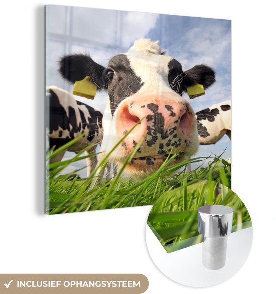 MuchoWow® Peinture sur verre 50x50 cm - Peinture sur verre - Vache - Ferme - Herbe - Animaux - Photo sur verre acrylique - Peintures