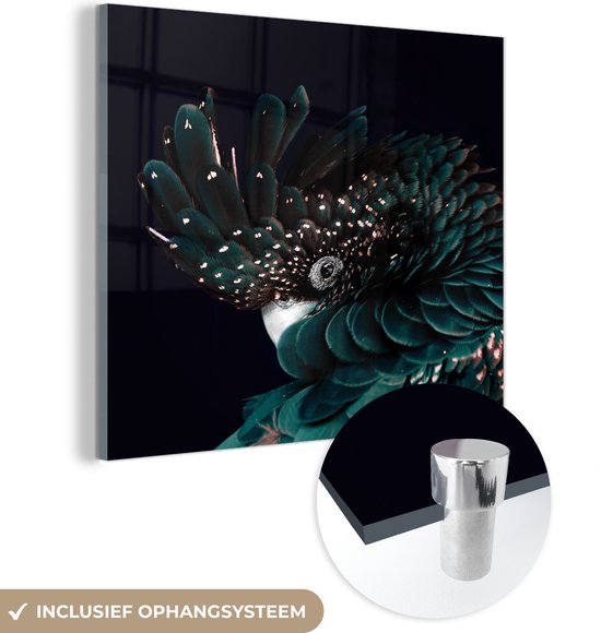 MuchoWow® Peinture sur verre 50x50 cm - Peinture sur verre acrylique - Cacatoès - Vert - Wit - Photo sur verre - Peintures