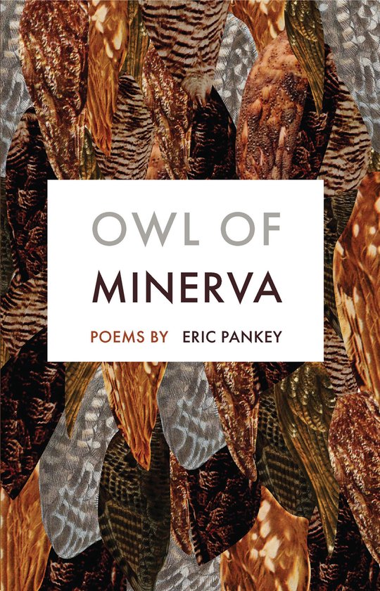 Owl of MinervaEbook Poems