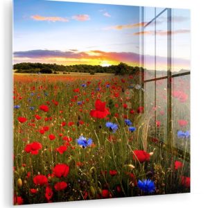 MuchoWow® Peinture sur verre 50×50 cm – Peinture sur verre acrylique – Fleurs – Coucher de soleil – Couleurs – Photo sur verre – Peintures