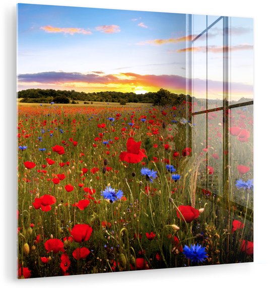 MuchoWow® Peinture sur verre 50x50 cm - Peinture sur verre acrylique - Fleurs - Coucher de soleil - Couleurs - Photo sur verre - Peintures