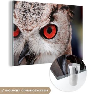 MuchoWow® Peinture sur verre – Vogel – Hibou – Grand-duc – 120×80 cm – Peintures sur verre acrylique – Photo sur Glas MuchoWow® Peinture sur verre – Vogel – Hibou – Grand-duc – 120×80 cm – Peintures sur verre acrylique – Photo sur Glas