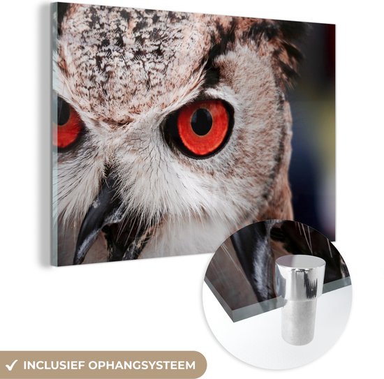 MuchoWow® Peinture sur verre - Vogel - Hibou - Grand-duc - 120x80 cm - Peintures sur verre acrylique - Photo sur Glas