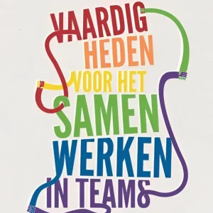 Vaardigheden voor het samenwerken in teams