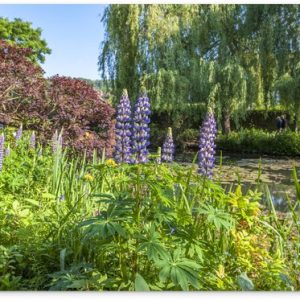Jardin aux couleurs colorées dans le jardin à la française de Monet en Europe Affiche de jardin 120×80 cm – Toile de jardin / Toile d&rsquo;extérieur / Peintures d&rsquo;extérieur (décoration de jardin)