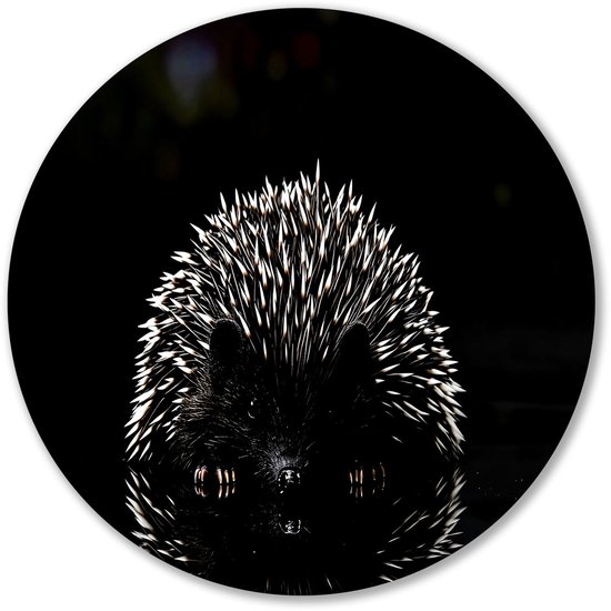 Hérisson reflet dans le noir - Décoration murale hérisson rond - Oeuvre d'art ronde animaux - Hyperréalisme - Décoration murale ronde Forex - Applique art mural - cercle mural forex 60x60 cm