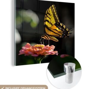 MuchoWow® Peinture sur verre 50×50 cm – Peinture sur verre acrylique – Papillon – Botanique – Bloem – Photo sur verre – Peintures