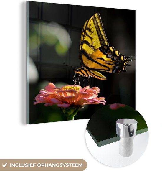 MuchoWow® Peinture sur verre 50x50 cm - Peinture sur verre acrylique - Papillon - Botanique - Bloem - Photo sur verre - Peintures