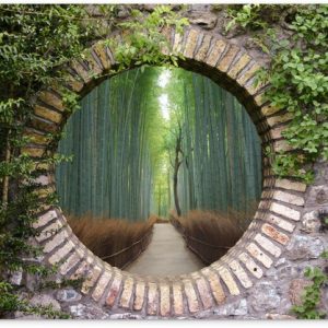 Jardin – Forêt – Arbres – Pierre – Vue à travers – Peinture de jardin – 40×30 cm – Affiche de clôture – Toile de jardin Jardin – Forêt – Arbres – Pierre – Vue à travers – Peinture de jardin – 40×30 cm – Affiche de clôture – Toile de jardin