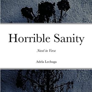 Horrible Sanity Novel in Verse Horrible Sanity Novel in Verse