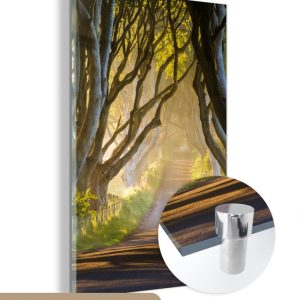 MuchoWow® Peinture sur verre 80×120 cm – Peinture sur verre acrylique – Le soleil illumine les haies sombres – Photo sur verre – Peintures MuchoWow® Peinture sur verre 80×120 cm – Peinture sur verre acrylique – Le soleil illumine les haies sombres – Photo sur verre – Peintures