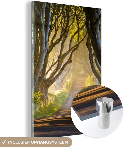 MuchoWow® Peinture sur verre 80x120 cm - Peinture sur verre acrylique - Le soleil illumine les haies sombres - Photo sur verre - Peintures