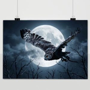 Hibou Poster | Chouette en vol | Affiche hibou | Affiche oiseau | Affiche Nature | Photo d’action | 50x70cm | Décoration murale | Affiche murale | S1394SFA | Convient pour l’encadrement Hibou Poster | Chouette en vol | Affiche hibou | Affiche oiseau | Affiche Nature | Photo d’action | 50x70cm | Décoration murale | Affiche murale | S1394SFA | Convient pour l’encadrement