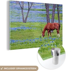 MuchoWow® Peinture sur verre 60×40 cm – Peinture sur verre acrylique – Cheval – Fleurs – Arbre – Photo sur verre – Peintures