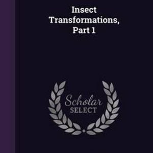 Insect Transformations, Part 1 Insect Transformations, Part 1