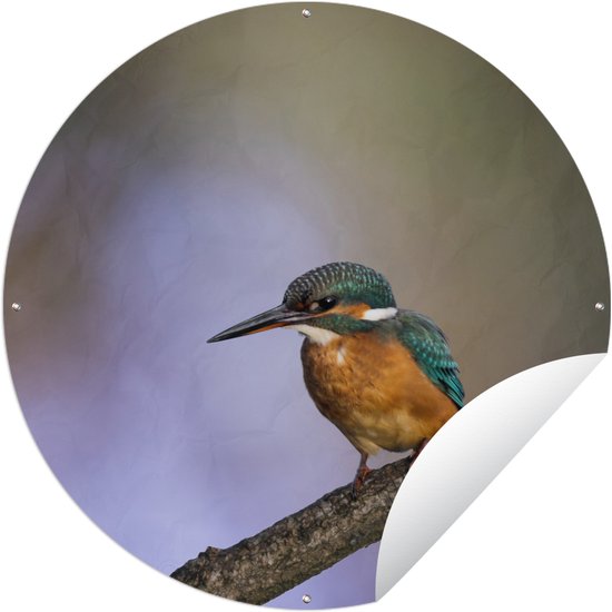 Jardin cercle Kingfisher photo print - 120x120 cm - Affiche de jardin ronde - Extérieur - XXL