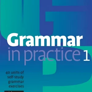 Grammar in practice 1 – beginner Grammar in practice 1 – beginner